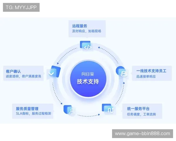 宝盈技术支持专业平台官网：快速响应客户需求的专业技术支持平台介绍